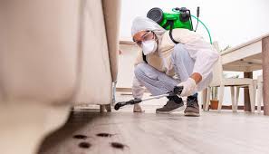 Best Pest Control for Restaurants and Food Service  in Wellington, TX